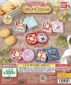 サンリオキャラクターズ クッキー缶チャーム 全種類 コンプリート