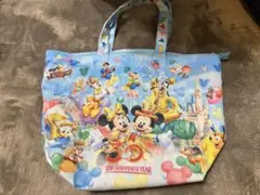 30周年ディズニーキャラクター バッグ THE HAPPINESS YEAR