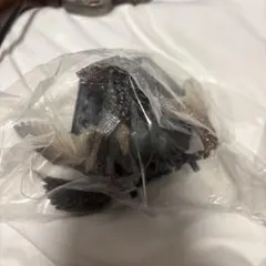 バゼルギウス　フィギュア