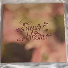 2025年最新】Starry symphony パンフレットの人気アイテム - メルカリ