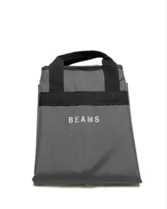 BEAMS ビームス ガーメントケース ブラウン