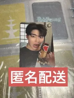 ZB1 ゴヌク soundwave 恐竜襲撃 トレカ