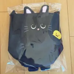 RIIZE ウォンビン fanlightバッグ ペンラバッグ