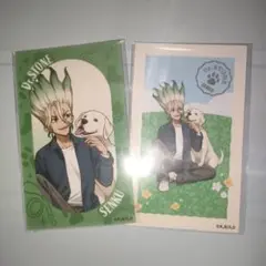 Dr.STONE 石神千空 フォトカードコレクション with dogs