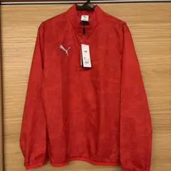 プーマ サッカーピステ