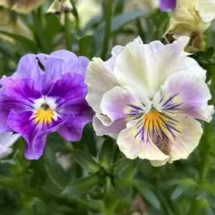 まるまま様 リクエスト 3点 まとめ商品