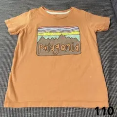 Patagonia Tシャツ 5T オーガニックコットンのサムネイル