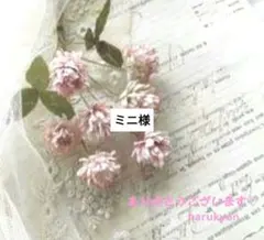 ミニ様　消しゴムはんこ