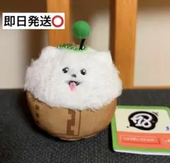 18TRIP エイトリ しゅうまい とことこギミック 歩くぬいぐるみ - メルカリ