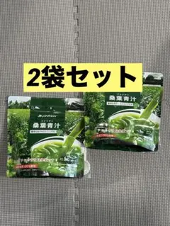 現品限定 』ファイテン桑葉青汁難消化性デキストリンプラス 230g✖️2