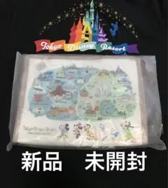 新品　未開封　ディズニー　スーベニア　パークマップ
