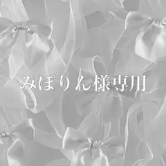 みぽりん様専用　No.4&No.T2 No.19&テリアケース