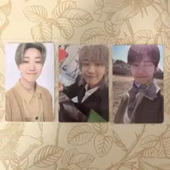 SEVENTEEN セブチ THE8 ミョンホ シーグリ トレカ まとめ売り