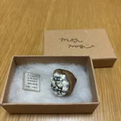 Item thumbnail for item 99052be7-eba4-4bdd-b689-456518dda0bf