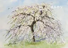 dolls country様 リクエスト 2点 まとめ商品