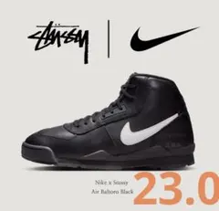 Item thumbnail for item 78943e0b-3860-4a0f-85d1-f5965b20a53d