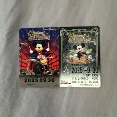 リゾラ フリーきっぷ 使用済 BBBラス日