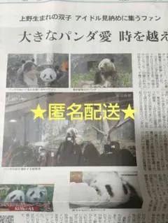 Item thumbnail for item c4c8e99c-b7c6-449f-b8db-ead7ef2c5095