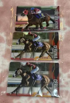 2026年最新】名馬カードの人気アイテム - メルカリ