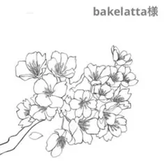 bakelatta様 リクエスト 2点 まとめ商品