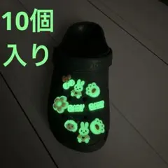 ジビッツ クロックス 10個 穴あきサンダル チャーム アクセサリー 花