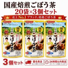 あじかん 焙煎ごぼう茶 20g × 2袋 - メルカリ