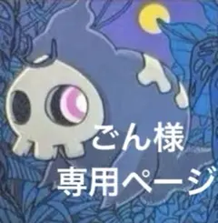 ごん様　専用ページ　まとめ売り