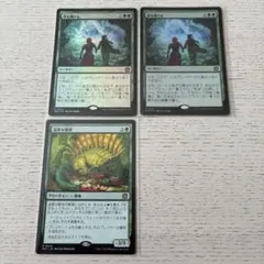 MTG FF パラメキア皇帝 2枚 foil 拡張アート FFII U 219 - メルカリ