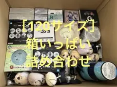［120サイズ］箱いっぱい詰め合わせ