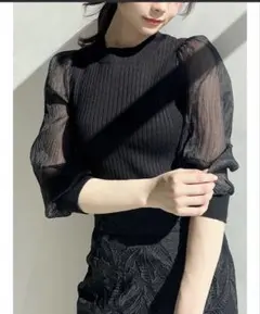 【RESEXXY】スリーブシアーパフニットトップス