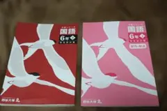 2026年最新】四谷大塚 予習シリーズ 6年 下の人気アイテム - メルカリ