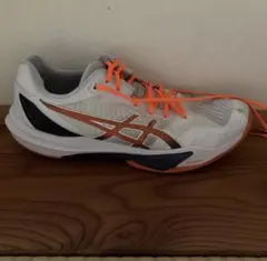 ASICSスカイエリート Sky elite ff3 27.5のサムネイル