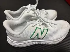 Item thumbnail for item a40f5dc8-c73e-4736-8ca1-5dd6a81759d9