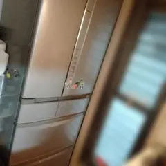 日立R-SF48ZM フレンチドア冷蔵庫 シルバー2010年