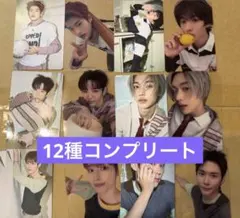 riize all of you 東京ドーム 封入トレカ　12種セット