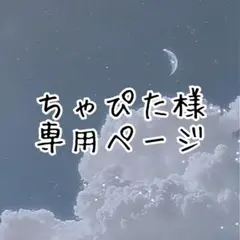 【専用ページ】のサムネイル