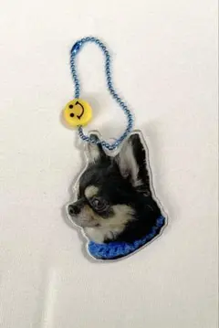 チワワ アクリルキーホルダー スマイルチャーム付き