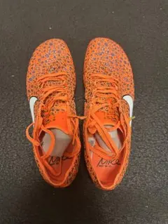 NIKE マックスフライ2 24.5cm パリカラー - メルカリ
