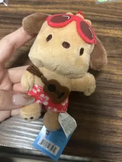 サンリオ　日焼け ポチャッコ ハワイ限定