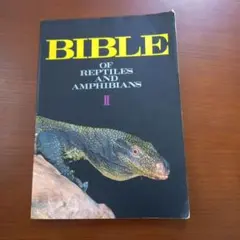 Item thumbnail for item 5df3fc80-75cc-486d-bac5-b912502b440e