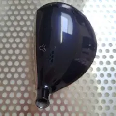 Item thumbnail for item 236aa28a-f30f-49fa-8256-5fc77a822a84