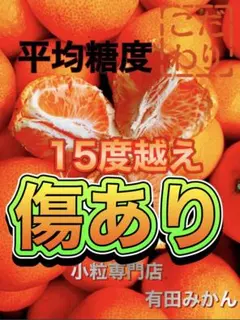 2026年最新】みかんキングの人気アイテム - メルカリ