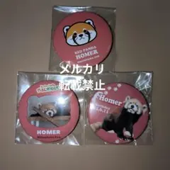 日本平動物園 オリジナル レッサーパンダ★ホーマー 缶バッジ3個