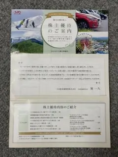 日本駐車場開発 株主優待1冊　即日発送可能