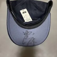 Item thumbnail for item 8158ff35-4410-4a58-b807-e84d88162aec