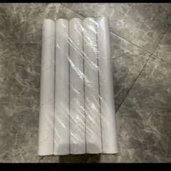 Item thumbnail for item 5c479d4e-7a42-48ed-ba00-d07925bc0775