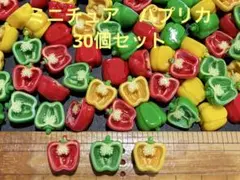 halo-halo様 リクエスト 2点 まとめ商品