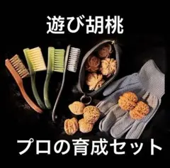 2026年最新】文玩核桃の人気アイテム - メルカリ