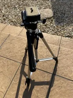 Item thumbnail for item 0e26449c-b596-479f-89ef-273b2fda1f06