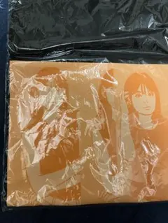 Naokin様 リクエスト 2点 まとめ商品